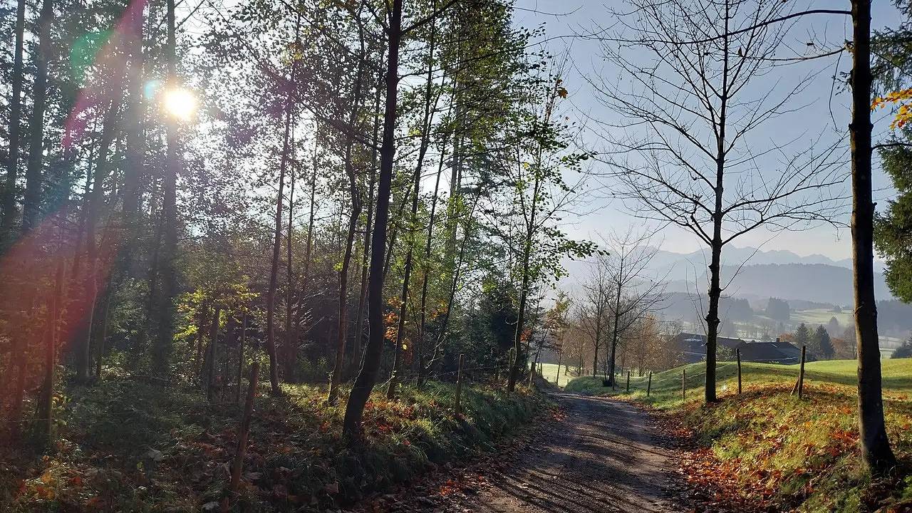 Ganze Ferienwohnung, Ferienwohnung für 4 Personen (61 m²) in Bolsterlang in Bolsterlang, Bayerisch Schwaben