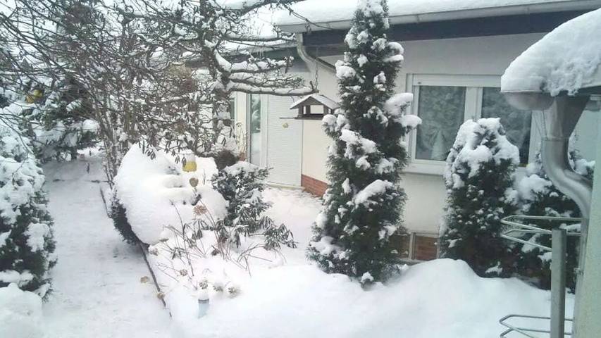 Ferienhaus für 5 Personen, mit Terrasse in Potsdam - 3