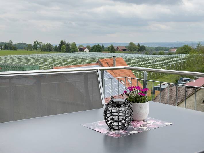 Ferienwohnung für 3 Personen, mit Garten, kinderfreundlich in Friedrichshafen - 4