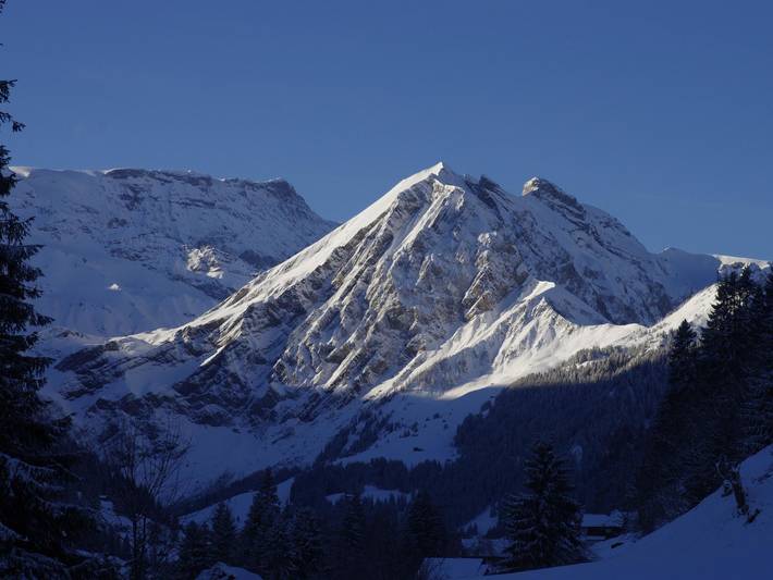 Appartement entier, Anno Domini in Adelboden, Frutigen-Lenk-Adelboden