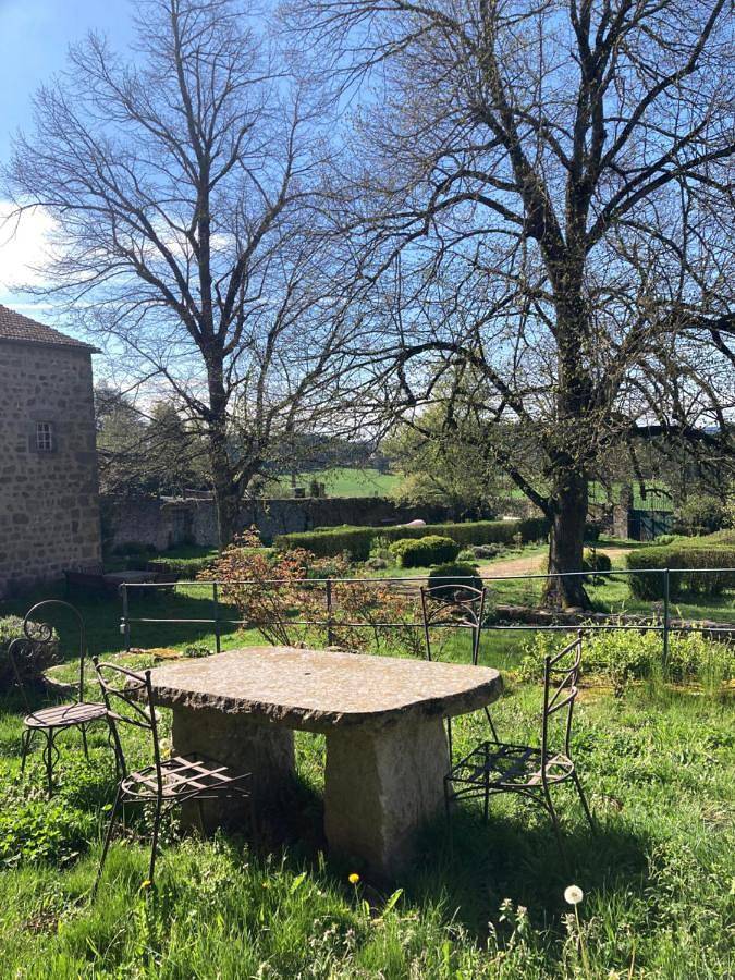 Location de vacances pour 2 personnes, avec terrasse ainsi que jardin et vue, animaux acceptés à Saint-Pal-de-Mons - 4