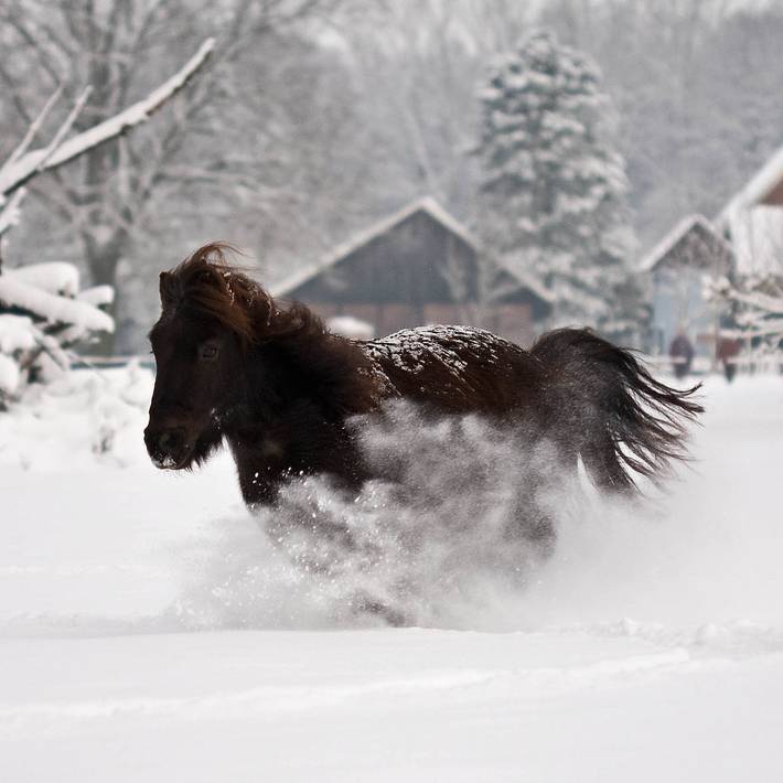 Ferienhaus für 4 Personen, mit Terrasse und Garten, kinderfreundlich im Münsterland - 4