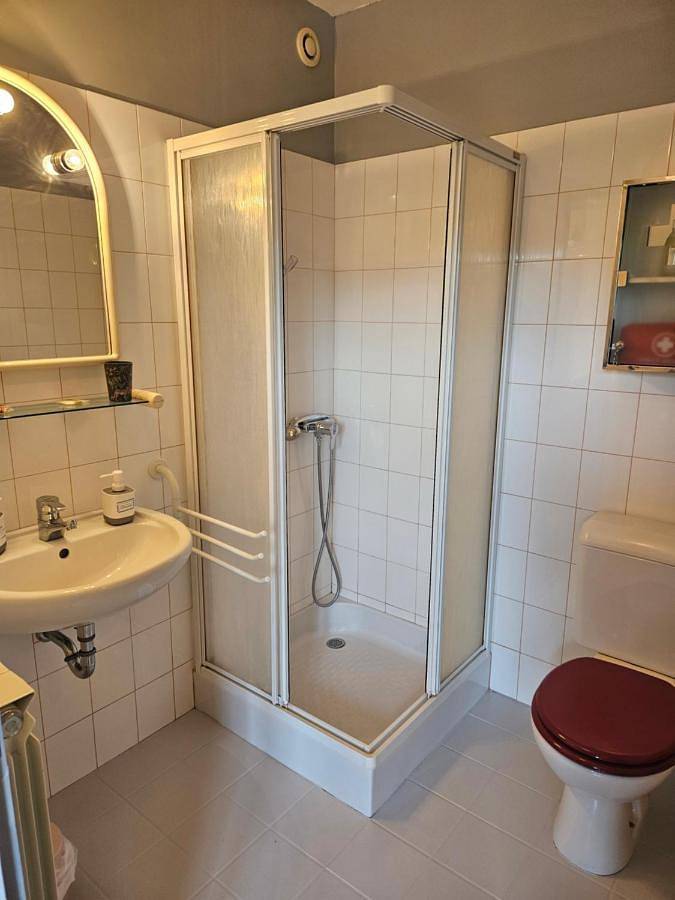 Gîte pour 4 personnes, avec terrasse, animaux acceptés dans Ordonnaz - 4