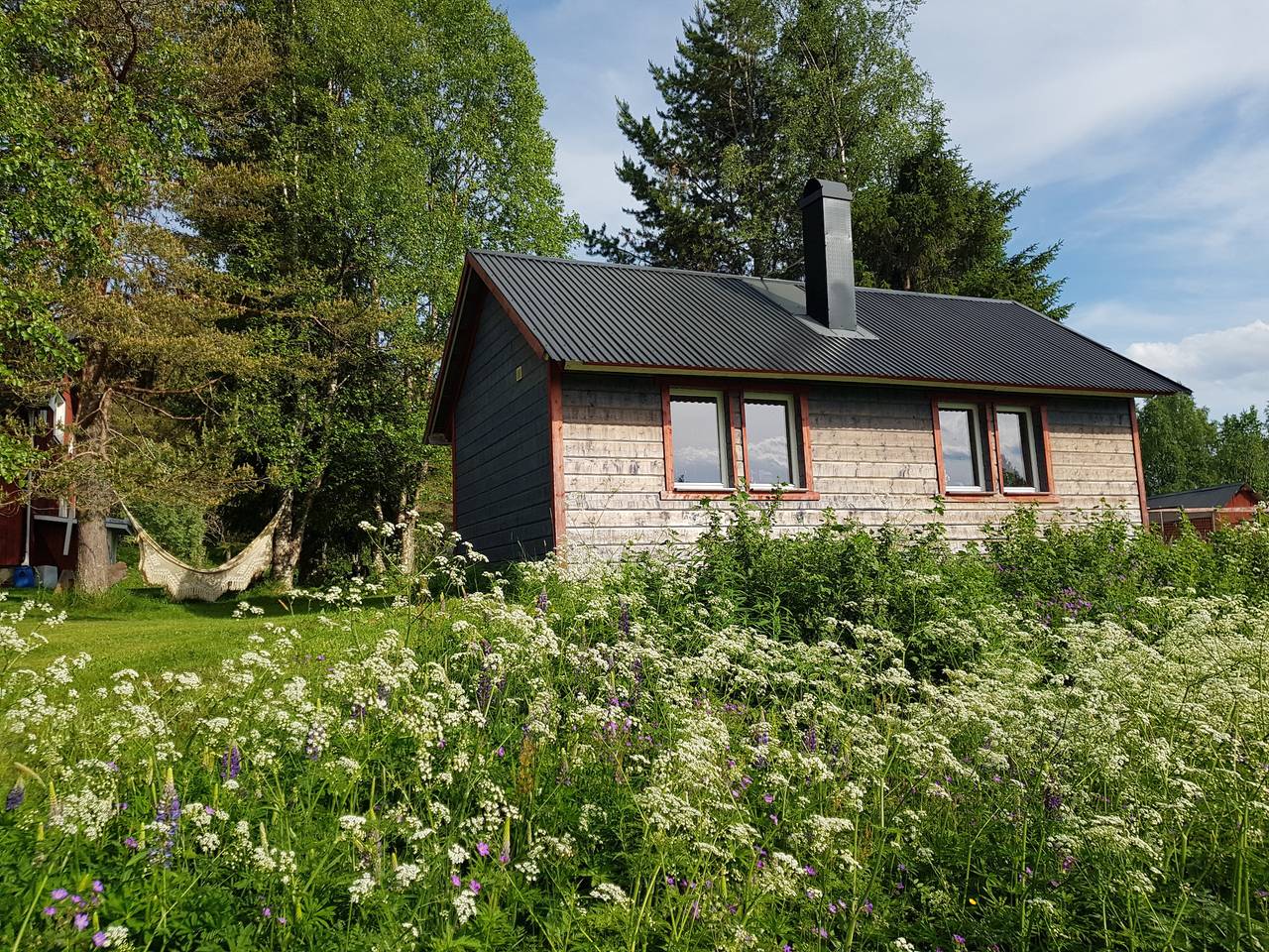 Urlaub auf einer Huskyfarm in der Wildnis von Jämtland in Jämtland
