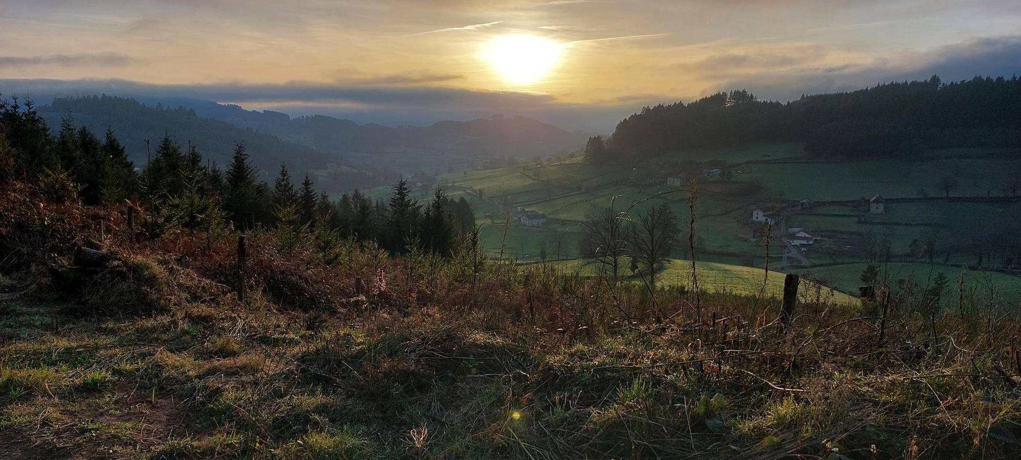Le Coq en Bois in Anglure-sous-Dun, Région de Charolles