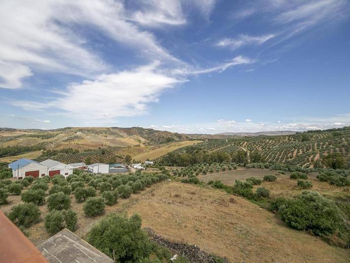 Location de vacances pour 6 personnes, avec terrasse à Villanueva de San Juan - 2