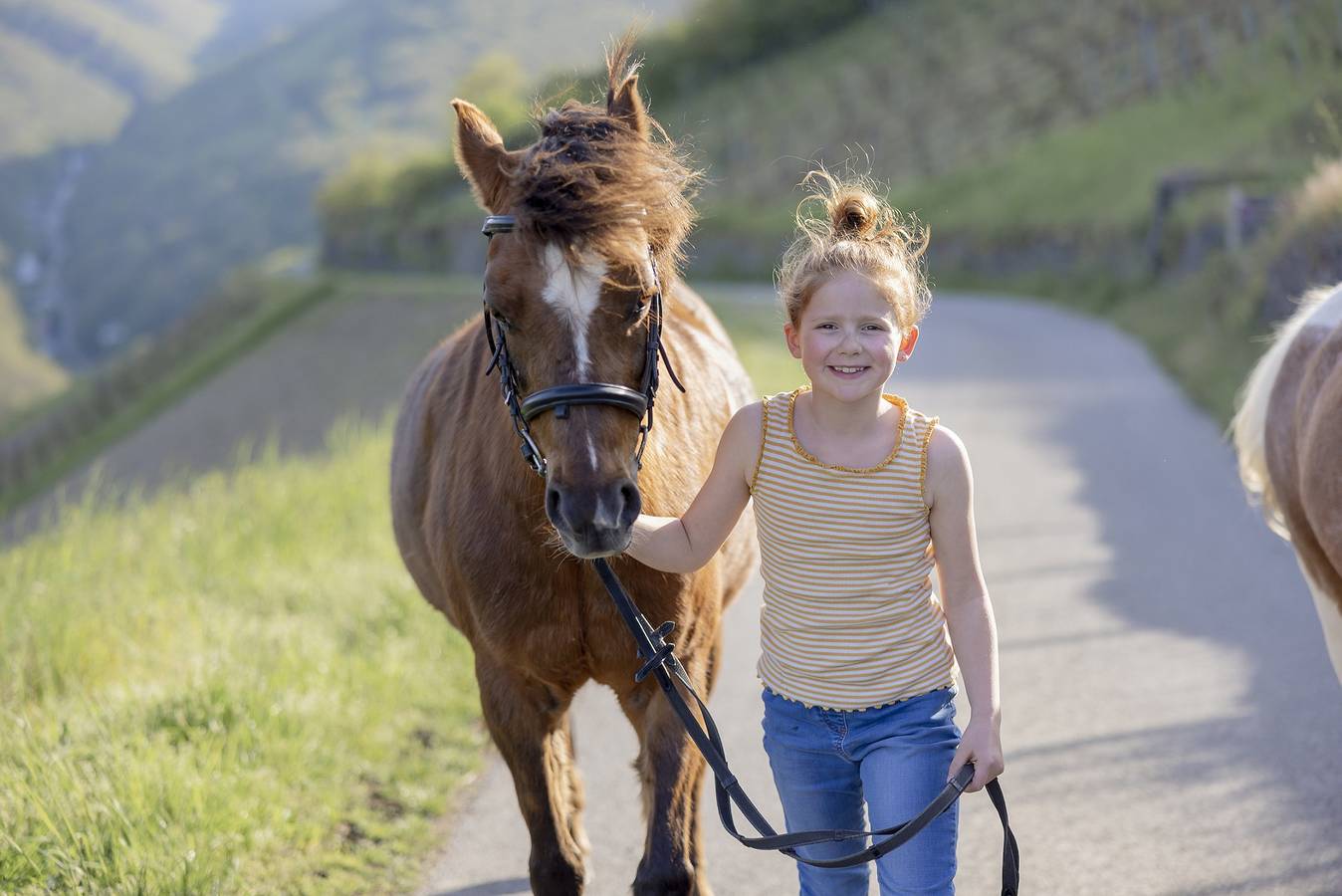 Hof Hardthoehe - 13. Ferienwohnung baumwipfel in Oberwesel, Mittelrhein