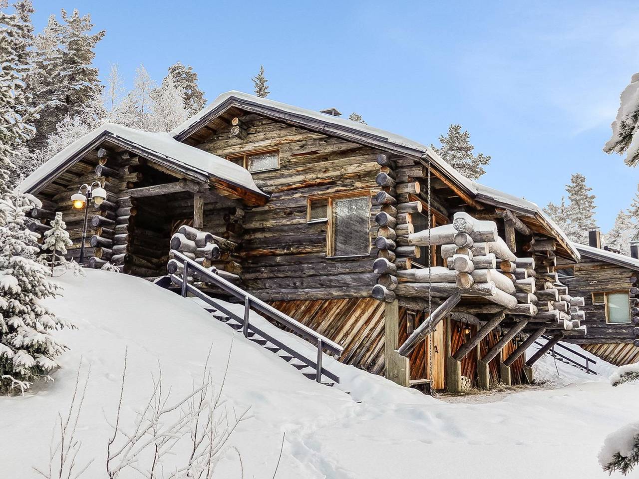 Sallanhelmi c1 in Sallatunturi, Lappland