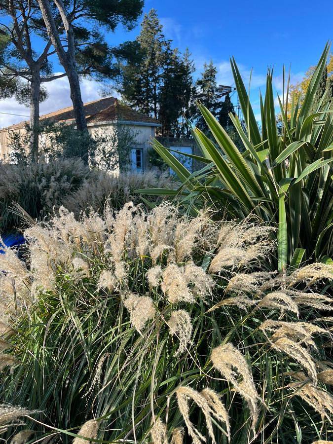 Hôtel pour 2 personnes, avec sauna et jardin ainsi que vue et piscine, animaux acceptés à Roubia - 2
