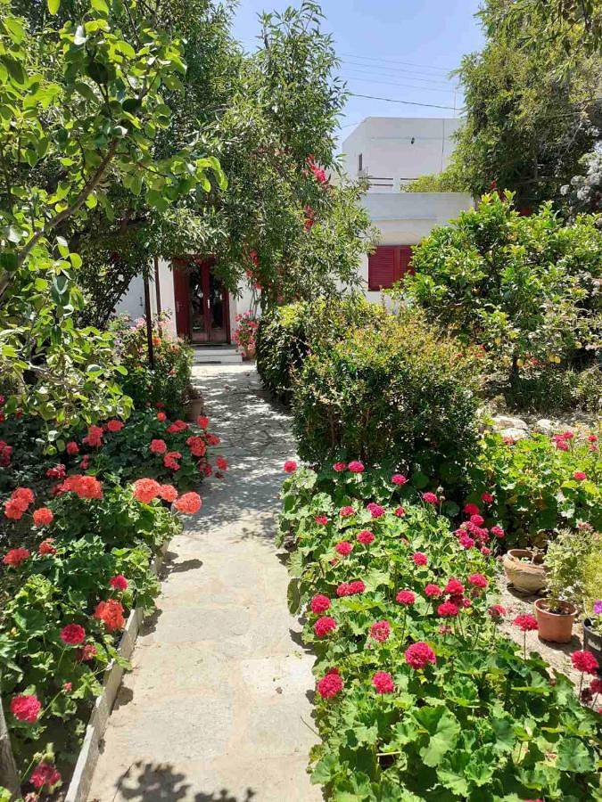 Gîte pour 2 personnes, avec jardin ainsi que vue et terrasse dans Apollonia - 3