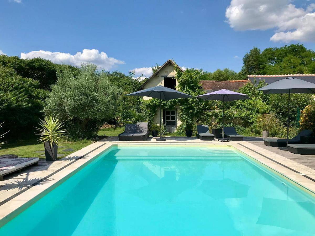 Magnifique Refuge avec piscine et animaux situé au coeur des châteaux de la Loire et des vignobles in Cinais, Vallée de la Loire