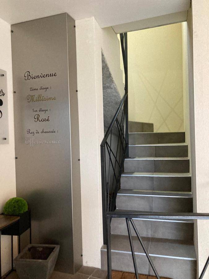 Gîte pour 3 personnes, avec vue et terrasse à Avize - 3