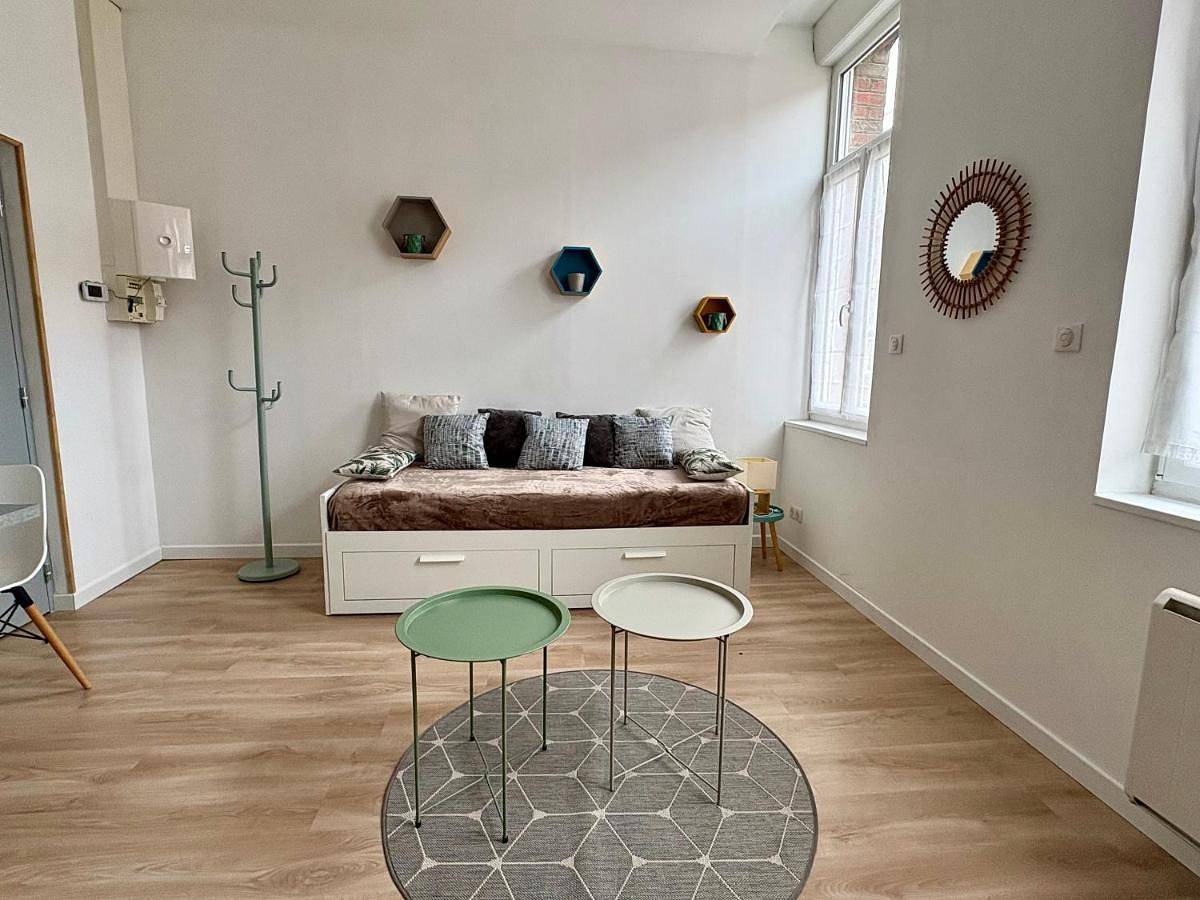 Appartement entier, Charmant Studio - Centre Douai - Netflix - 2 pers in Douai, Département Nord