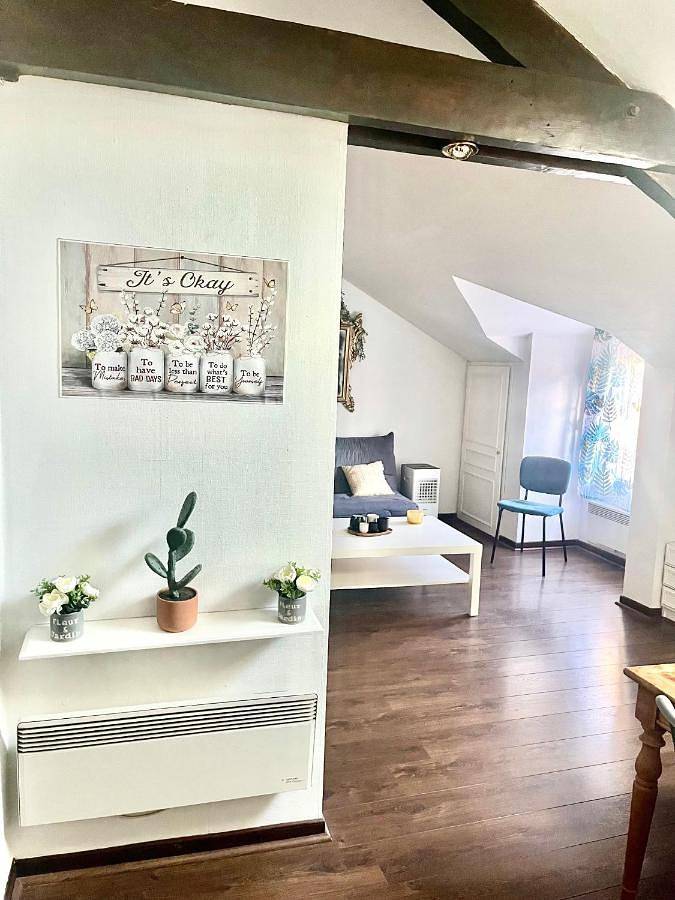Appartement entier, One-Bedroom Apartment in Millau, Parc naturel régional des Grands Causses