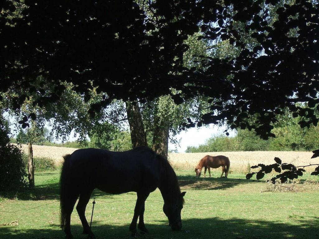 Familie Schmidt - Melkerhäuschen in Stangheck, Schleswig-Flensburg