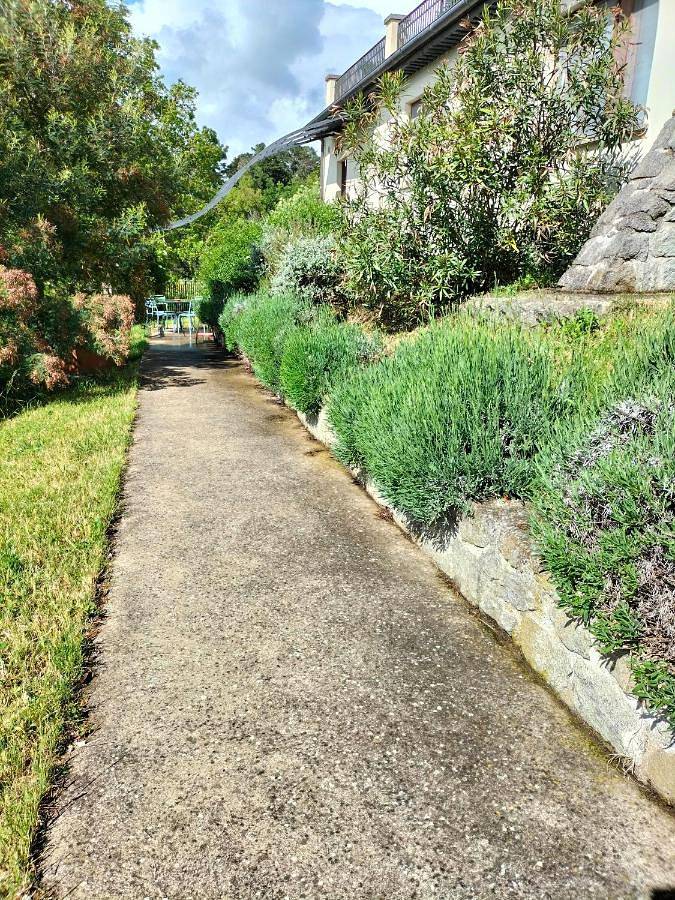 Gîte pour 4 personnes, avec vue ainsi que jardin et piscine à Viterbo - 2