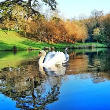 Location de vacances pour 7 personnes, avec vue et terrasse à Bacilly