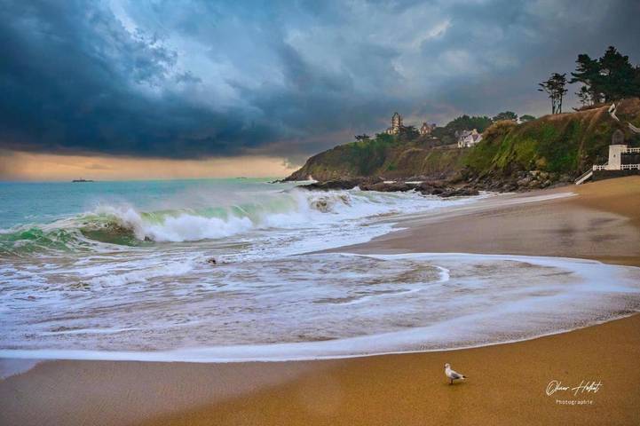 Chambre d’hôte pour 5 personnes, avec vue et piscine à Saint-Quay-Portrieux - 4