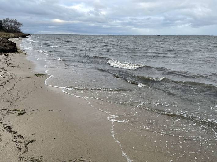 Ferienwohnung für 4 Personen, mit Garten am Greifswalder Bodden - 4