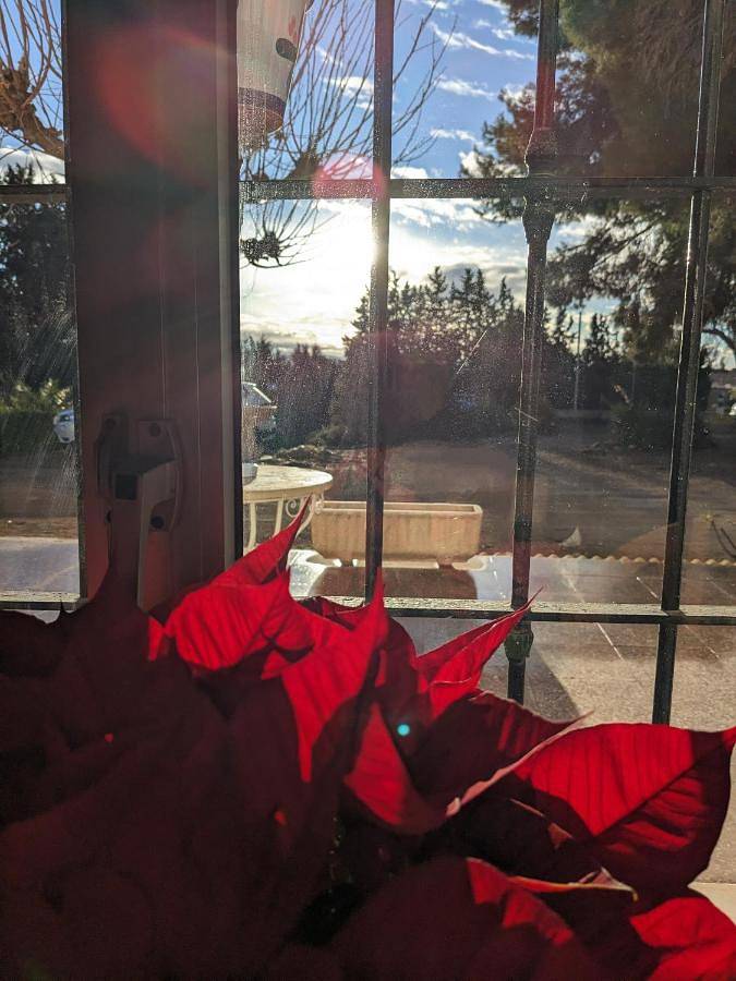 Chalet para 12 personas, con Terraza y Jardín además de Piscina y Vistas en Comarca del Noroeste (Murcia) - 4