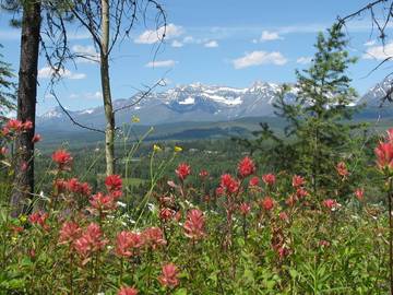 Log Cabin for 4 People in Glacier National Park, Flathead County, Photo 3