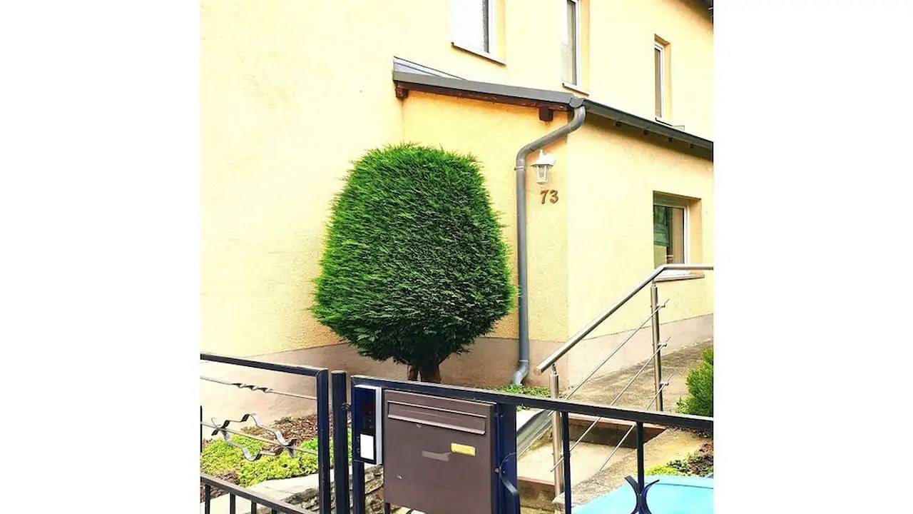 Ferienhaus für 3 Personen (31 m²) in Dresden in Briesnitz, Dresden