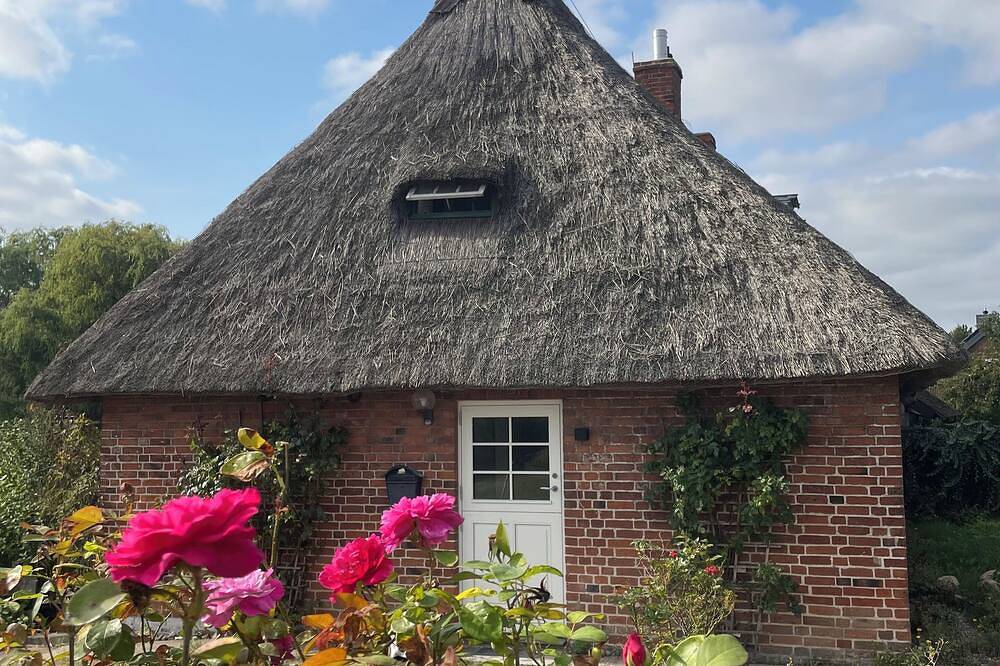 Ferienhaus neu saniert - 2 Min. zum Strand - großes ruhiges Naturgrundstück in Schashagen, Ostholstein