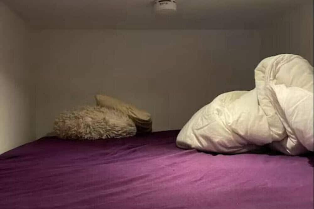 Ganze Wohnung, Loft bed apartment in welcoming Berlin with Wifi, Ac, washer, in Berlin Innenstadt, Berlin