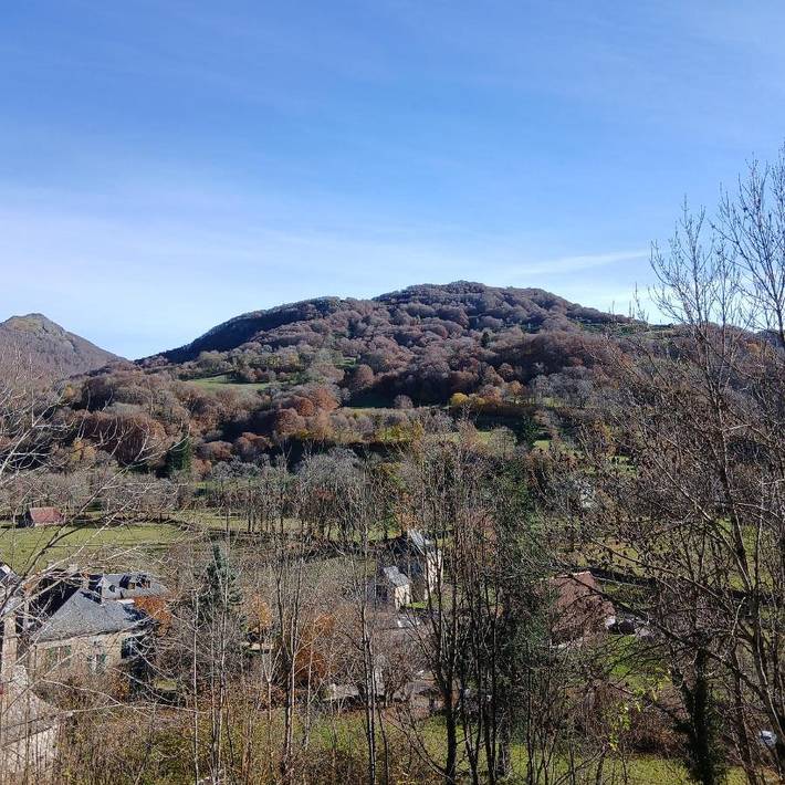 Gîte pour 3 personnes, avec vue et jardin à Mandailles-Saint-Julien - 3