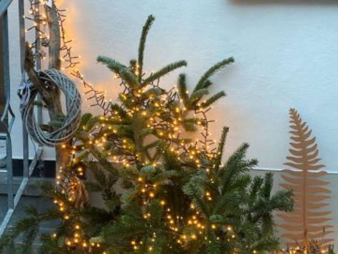 Ferienhaus Therese in Veldenz, Bernkastel-Kues & Umgebung