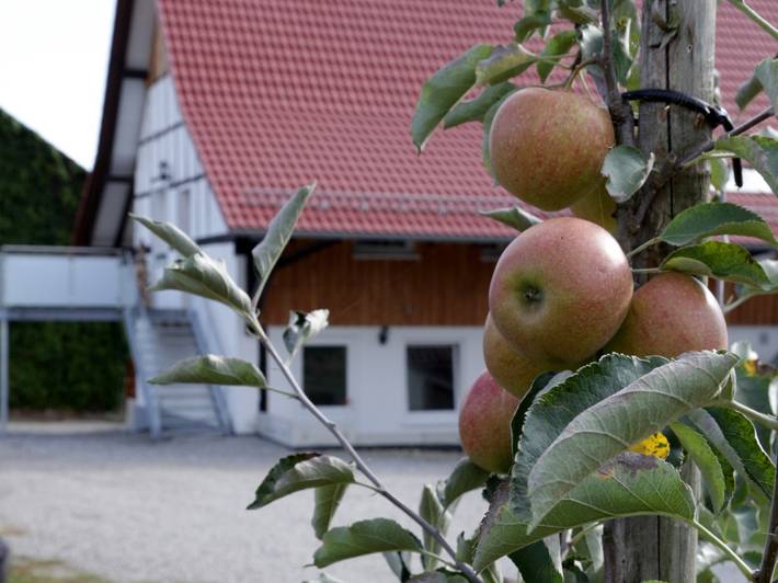 Bauernhof für 4 Personen, mit Balkon/Terrasse und Balkon sowie Garten