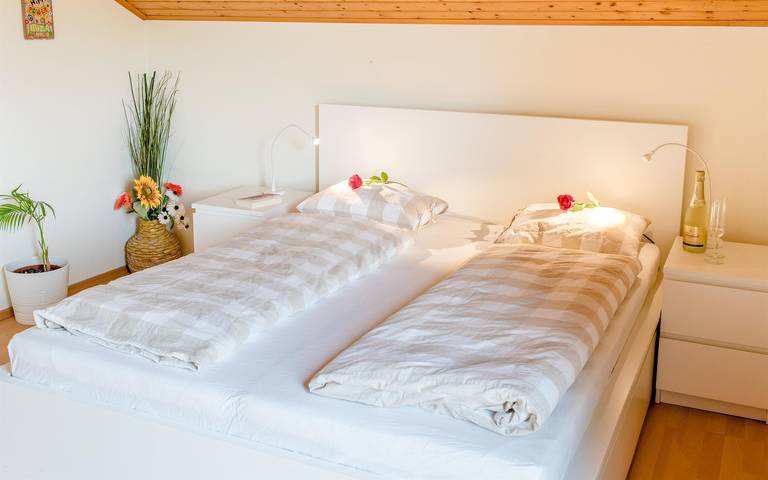 Ganze Ferienwohnung, Ferienwohnung für 4 Personen mit Terrasse in Spital am Pyhrn, Kirchdorf an der Krems (Bezirk)