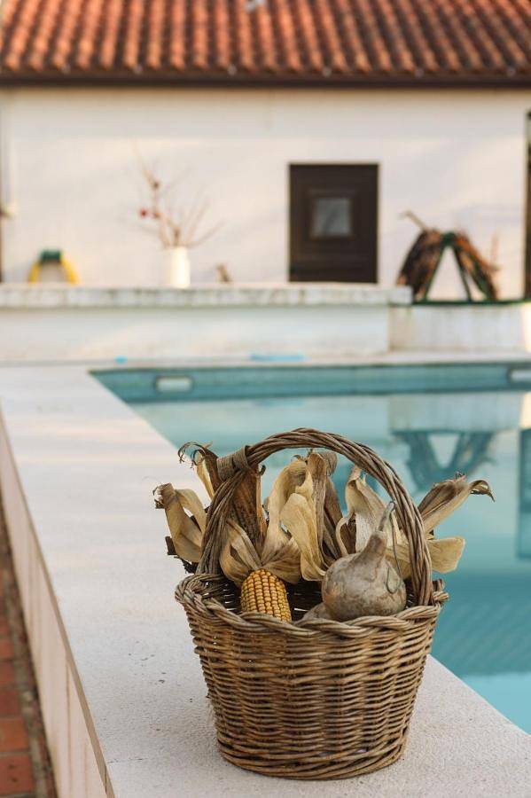 Gîte pour 4 personnes, avec vue ainsi que jardin et piscine dans Torres Novas - 3
