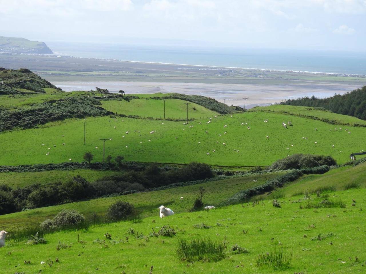 Standard King Room 1st Floor in Aberdyfi, Aberdovey