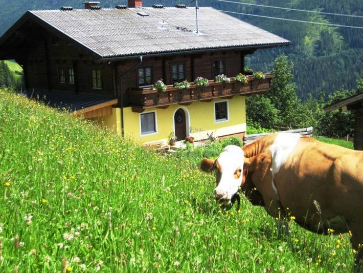 Ferienwohnung für 4 Personen, mit Ausblick und Garten, mit Haustier in Mühlbach am Hochkönig