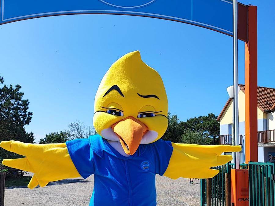 Camping Paradis Les Galets de la Mollière - Mobilheim 4 personen - Mobil Home Confort 4 Places Sam 2 Zimmer Induktionskochfeld Geschirrspüler, Haartrockner in Cayeux-sur-Mer, Abbeville und Umgebung