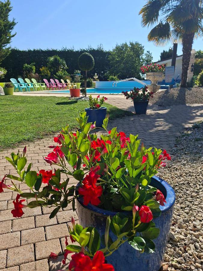Maison d’hôte pour 3 personnes, avec terrasse et piscine ainsi que jardin et vue à Neuville-de-Poitou - 3
