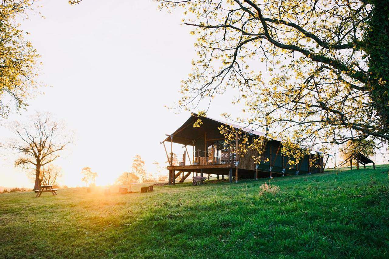 Brocklands Farm Glamping in South Downs
