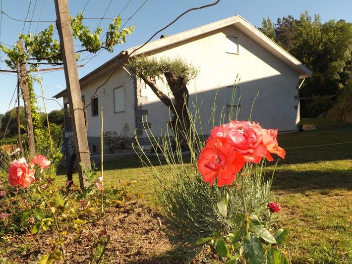 Three-Bedroom House in Vade, Distrito de Braga