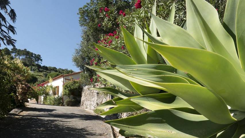 Casa rural para 6 personas, con Balcón además de Terraza y Jardín en Monchique - 2