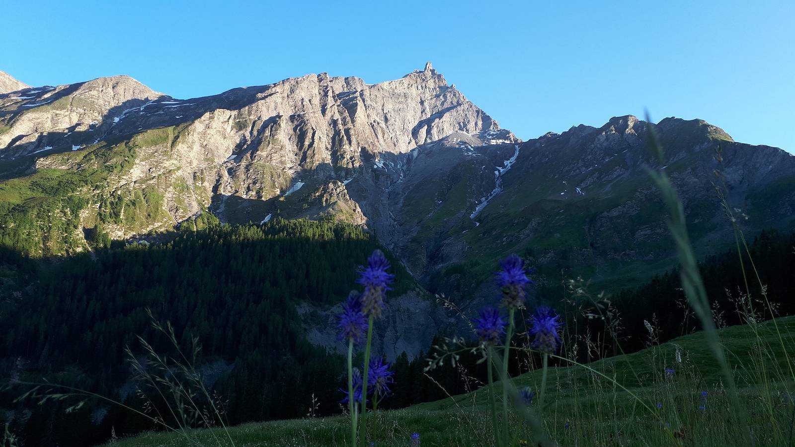 Appartamento intero, Ferienwohnung Hof Beeli - appartamento a 5 letti in Tschappina, Reno Posteriore