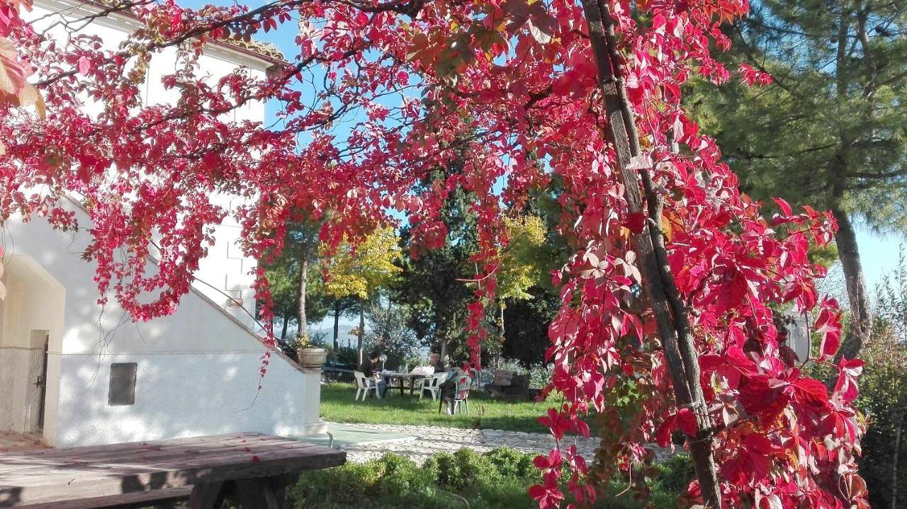 Holiday Home in Offida, Ascoli Piceno Provinz