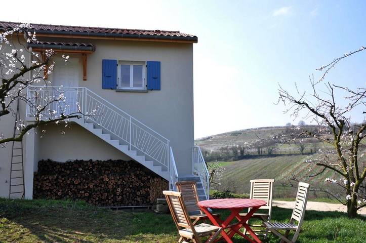 Gîte pour 3 personnes, avec jardin et vue, animaux acceptés à Crozes-Hermitage - 2