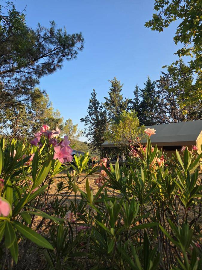 Camping pour 2 personnes