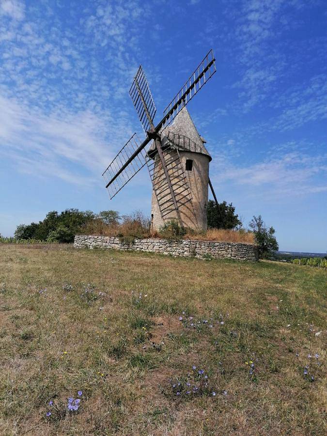 Location de vacances pour 2 personnes à Cadillac-en-Fronsadais - 3