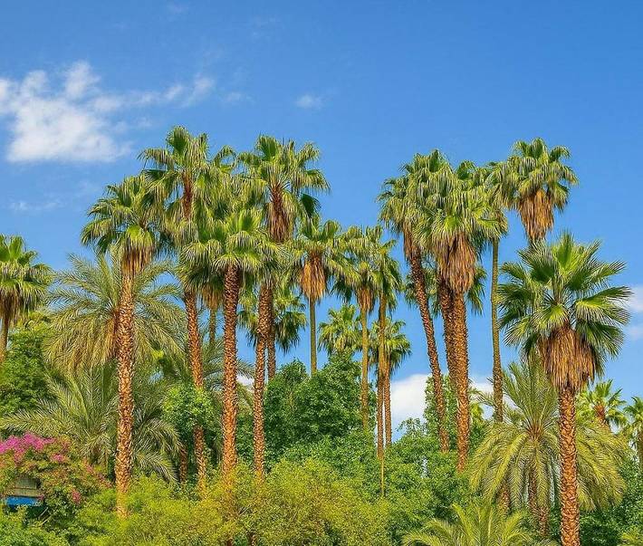 Gîte pour 4 personnes, avec vue et jardin dans Jardin Majorelle Marrakech