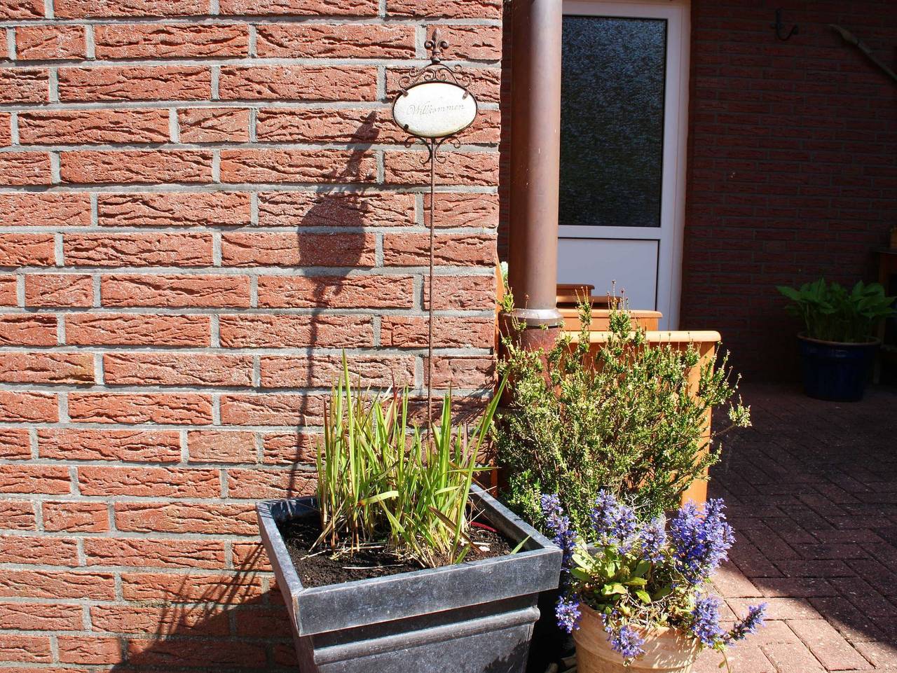 Ganze Ferienwohnung, Ferienwohnung Elli 45244 in Ditzum, Ostfriesland