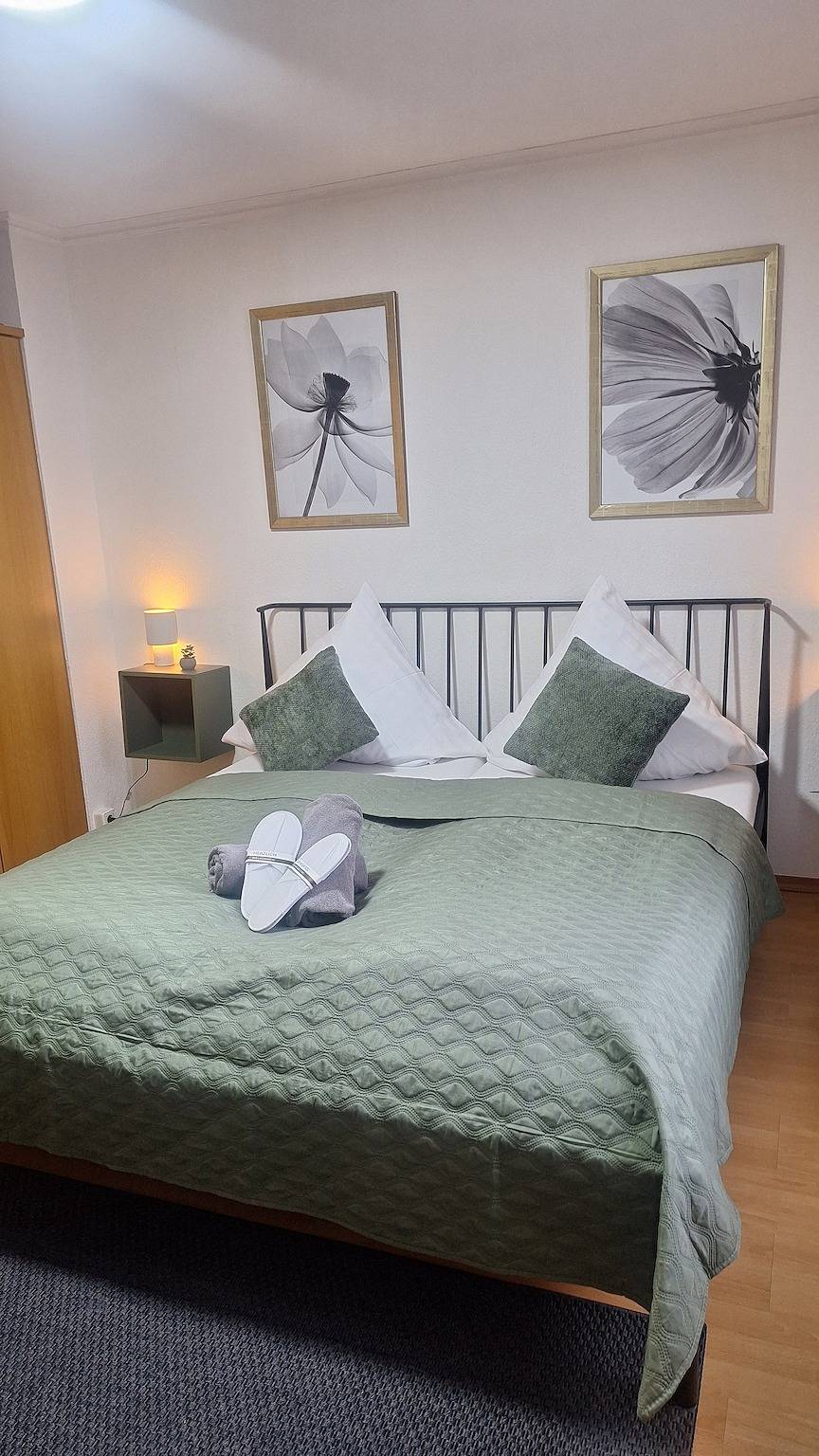 Ganze Ferienwohnung, Gästehaus Mittmann 1 Raum Apartment oh. Balkon in Bad Kissingen, Rhön-Bayern