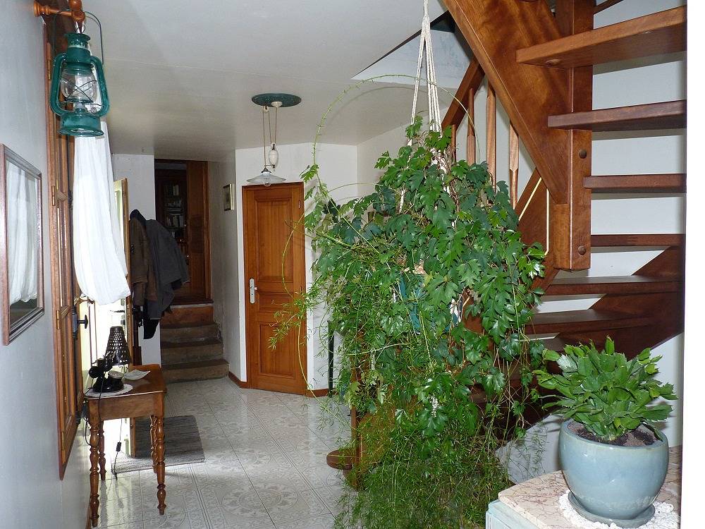 Jaune in Montigny-sur-Loing, Seine-et-Marne