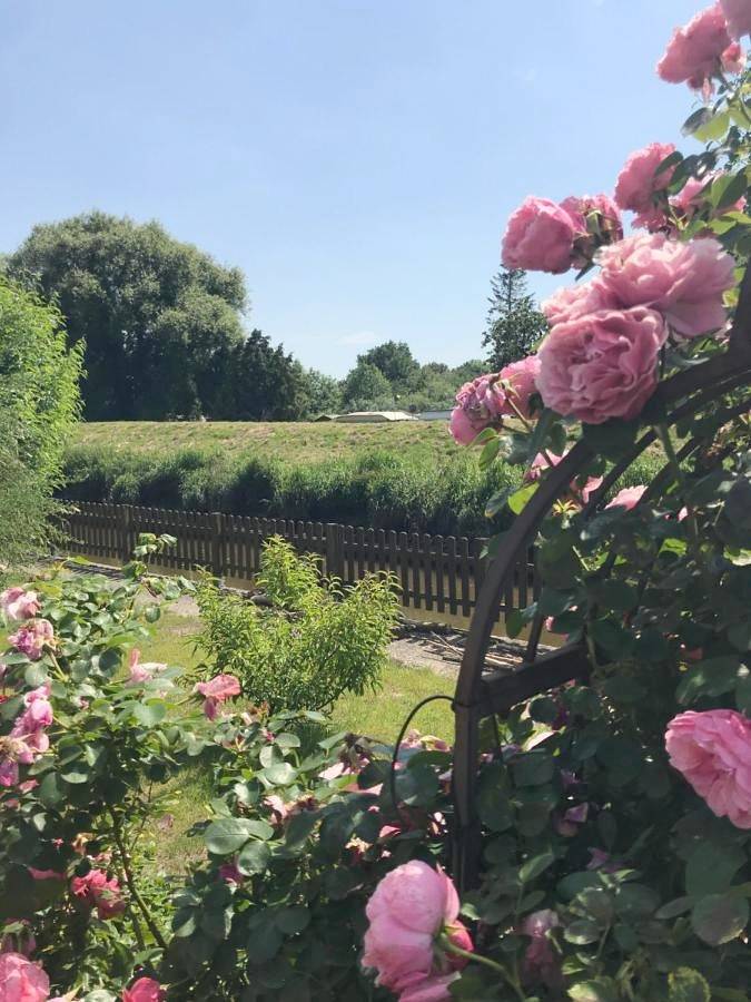 Hotel für 2 Personen, mit Terrasse und Garten in Mittelnkirchen - 4